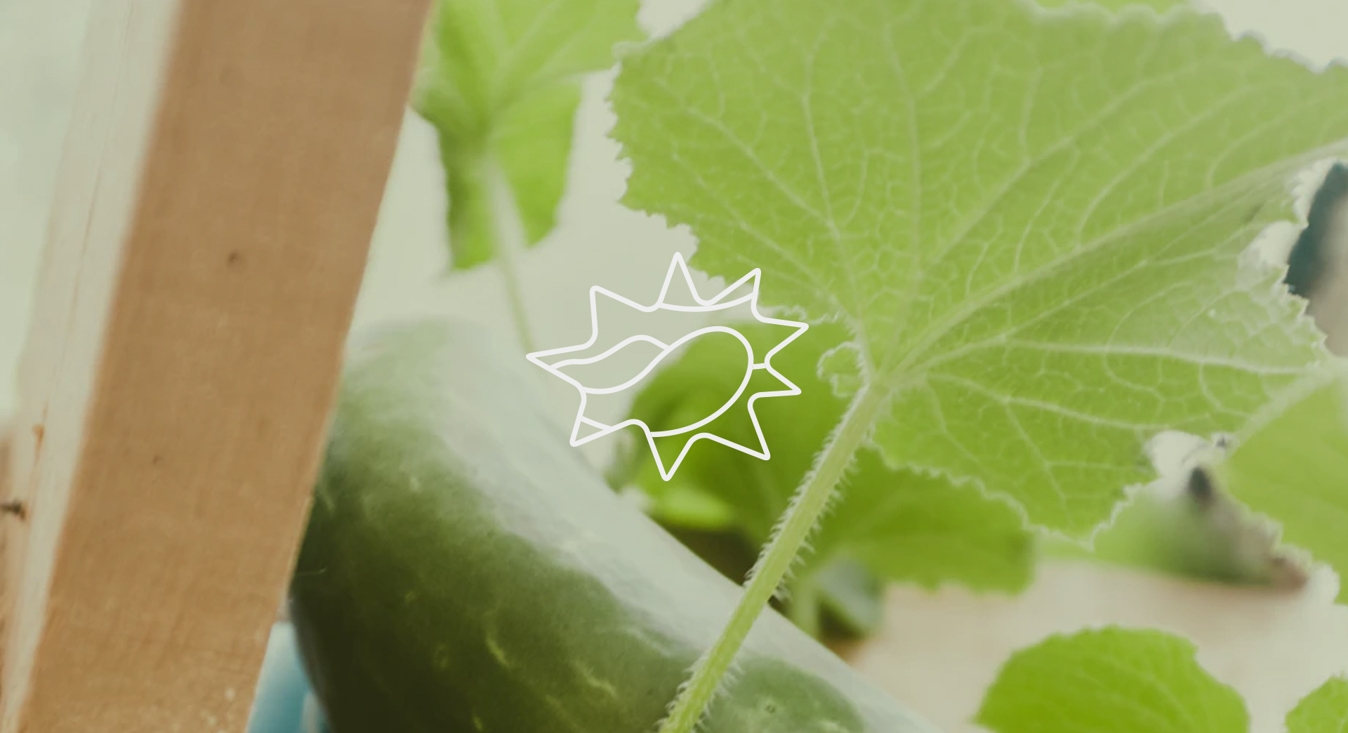 高考明天“热晴”开考 午后雷雨来“鼓劲”