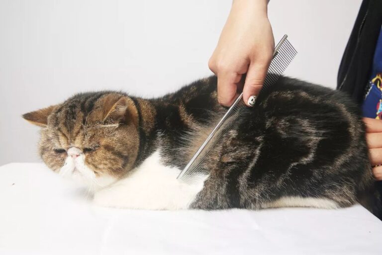 事关个税优惠补贴，开始申报→