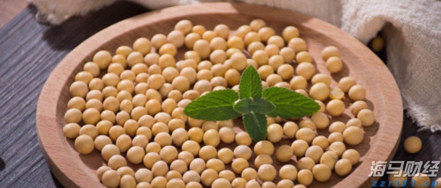 多项数据领跑全国!广东交出“粤海粮仓”亮眼成绩单