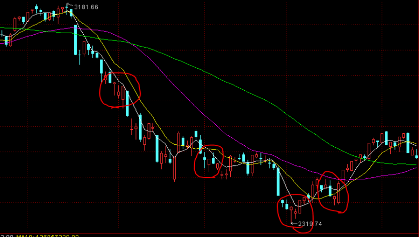 今年前2个月我市对RCEP其他成员国出口同比增长50.9%